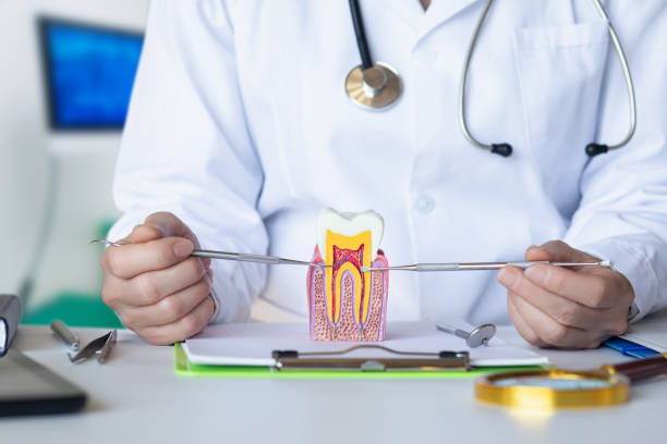 Best Emergency Gum Treatment in Kodi, AK